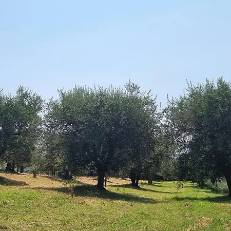 Ferienhaus Gli Ulivi Di