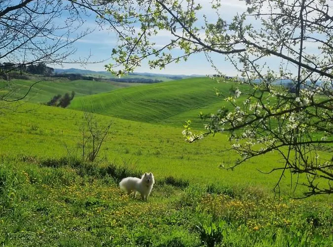 Дом отдыха Gli Ulivi Di *