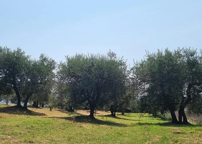 Дом отдыха Gli Ulivi Di